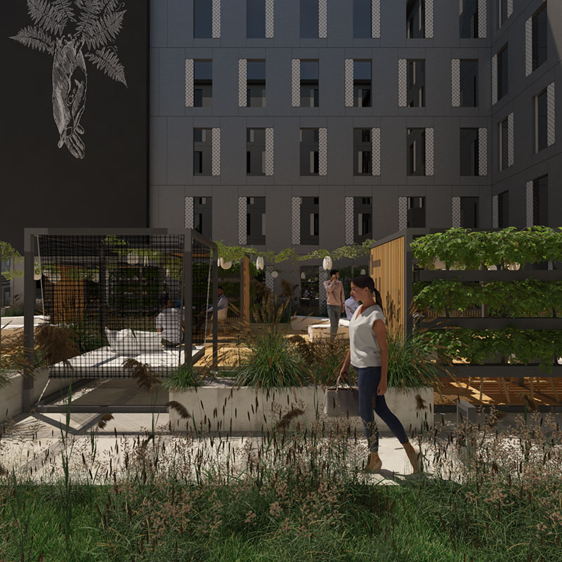 Projekt zielonego patio w odzi
