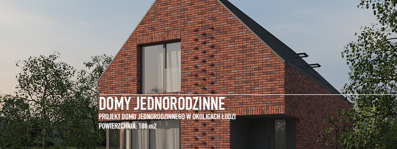 Dom z cegy 1